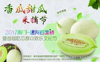 吃瓜合集网红是谁啊,网络红人的崛起与影响力